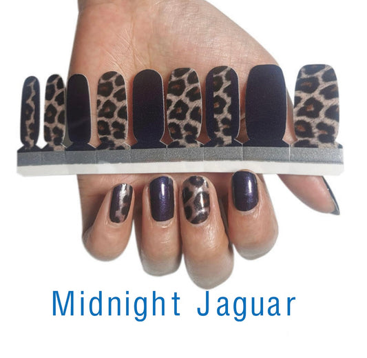 Midnight Jaguar