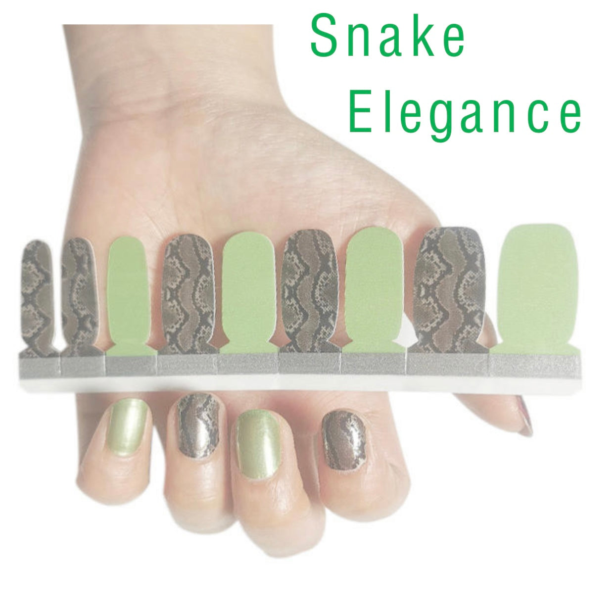 Snake Elegance